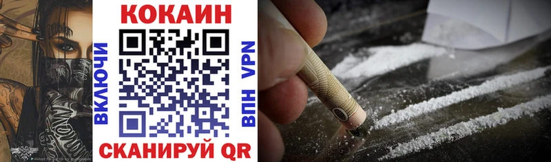 закладка Новосибирск COCAIN Fish Scale