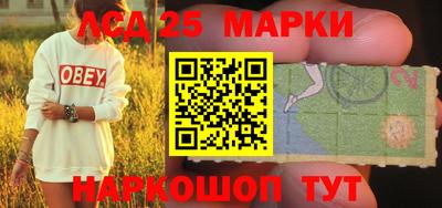 амф Новозыбков