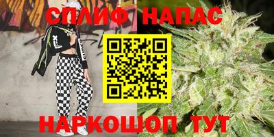 прущие крисы Новокубанск