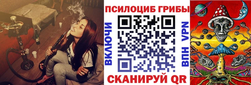 Галлюциногенные грибы Psilocybine cubensis  Новосибирск 
