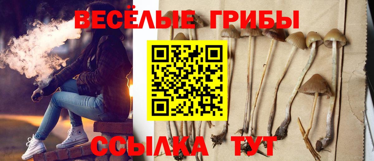 Новосибирск  Галлюциногенные грибы прущие грибы  Вход с VPN 